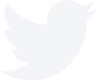 Twitter Icon