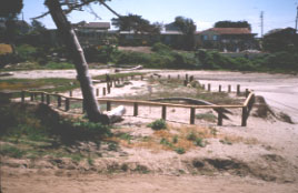 Bonita Lagoon